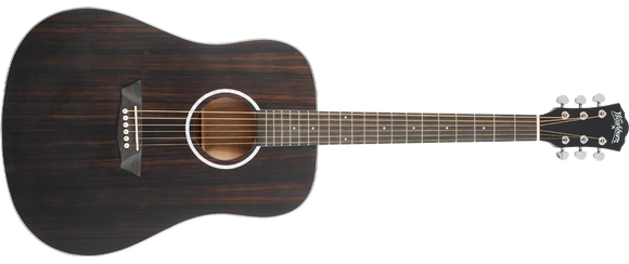Washburn Deep Forest Ebony D Acoustic Guitar, Striped Ebony