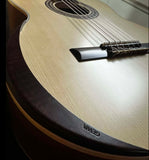 Guitarras Manuel Rodríguez Ecólogia Acoustic Guitar 4/4 E-65