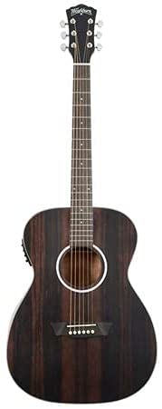Washburn Deep Forest Ebony FE Acoustic Guitar, Striped Ebony