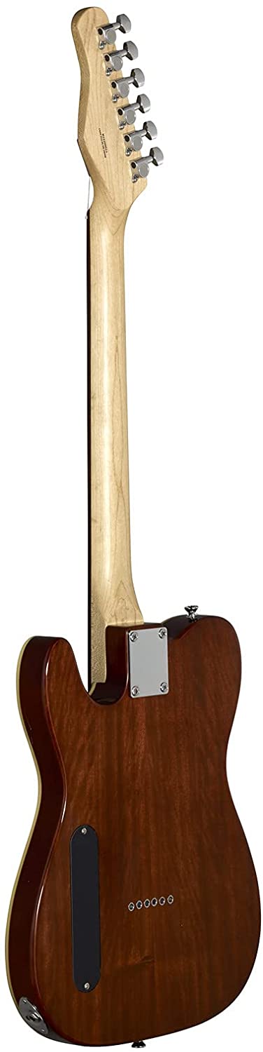 Michael Kelly 59 Thinline Semi-Hollow Electric Guitar (Spalted
