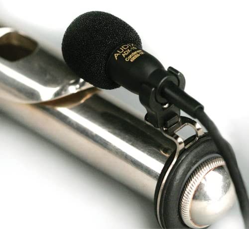 Audix Dynamic Microphone, Black, 9.00 x 4.00 x 7.00 inches (ADX10FLP)